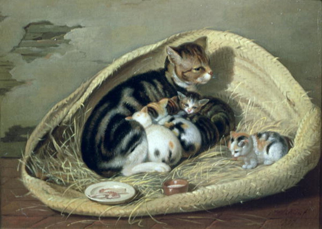 Detail of Cat with Her Kittens in a Basket by Samuel de Wilde