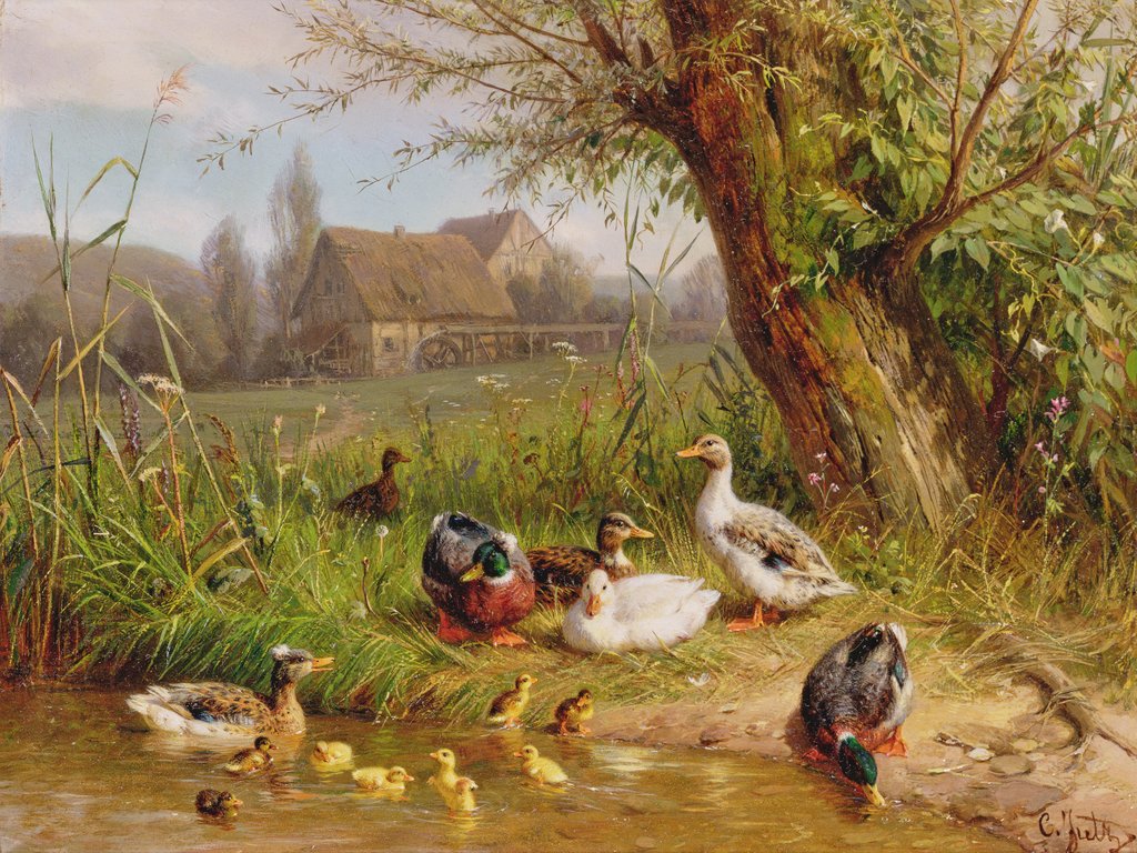 Mallard Ducks with their Ducklings by Carl Jutz