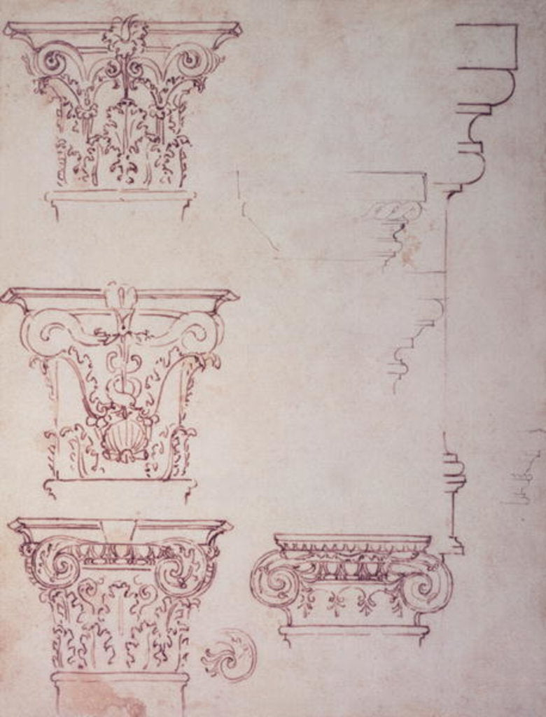 Detail of Studies for a Capital by Michelangelo Buonarroti