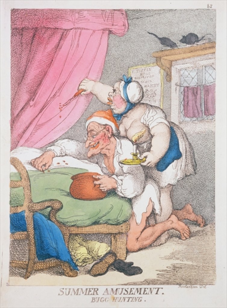 Detail of Summer Amusement. Bug Hunting by Thomas Rowlandson