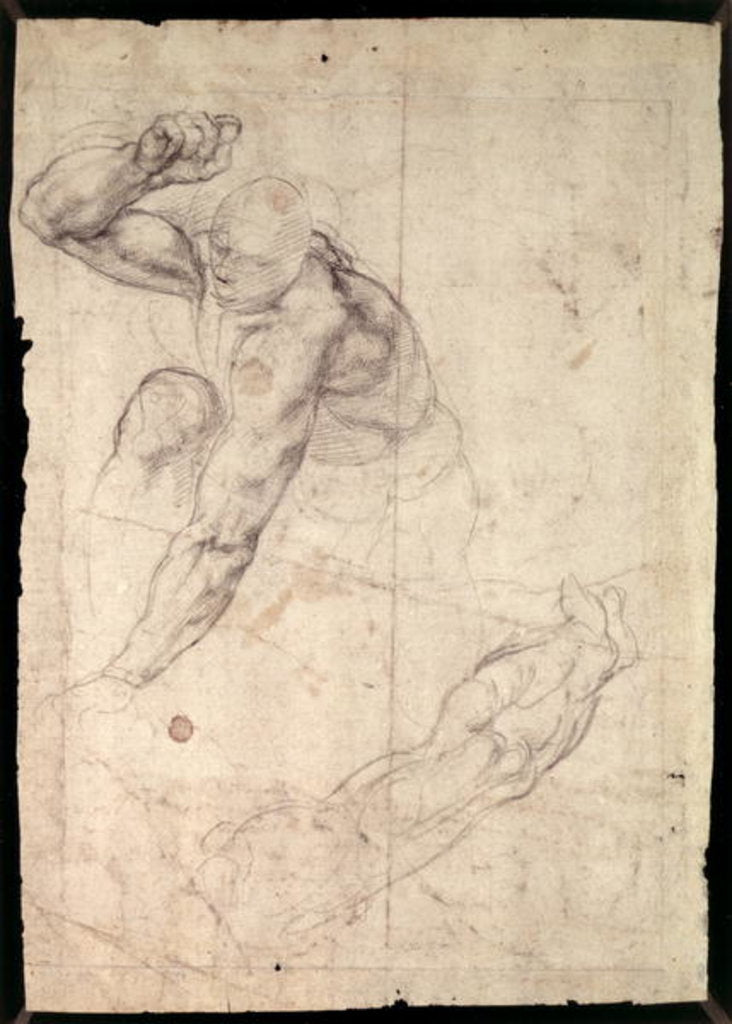 Detail of Male figure study by Michelangelo Buonarroti