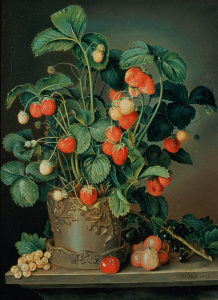 Detail of Still life with strawberries by W. Weiss