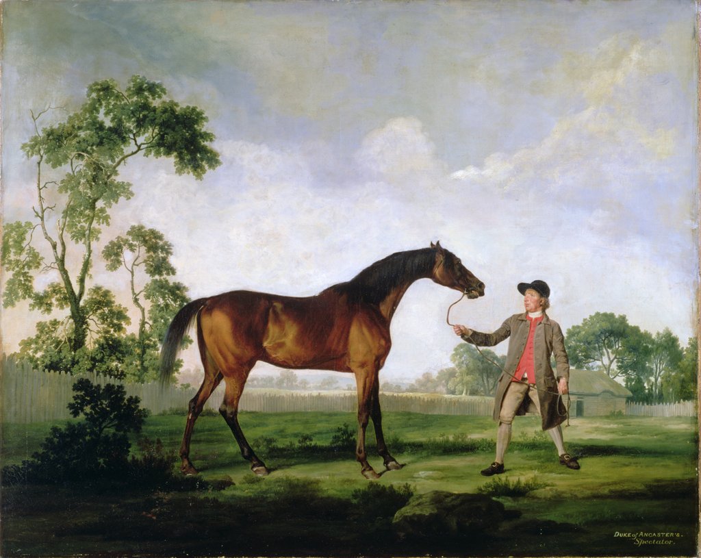 Detail of The Duke of Ancaster's bay stallion 'Spectator', held by a groom by George Stubbs