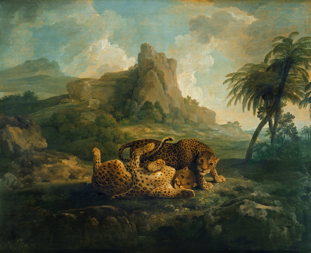 Detail of Tygers at Play, c.1763-8 by George Stubbs