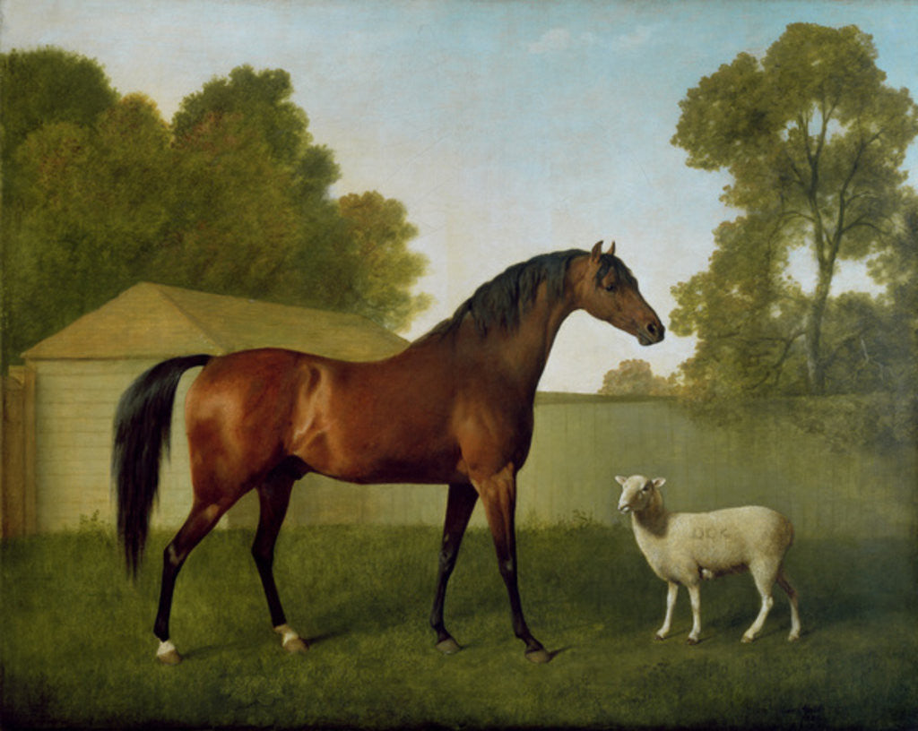 Detail of Dungannon, the property of Colonel O'Kelly, painted in a paddock with a sheep by George Stubbs