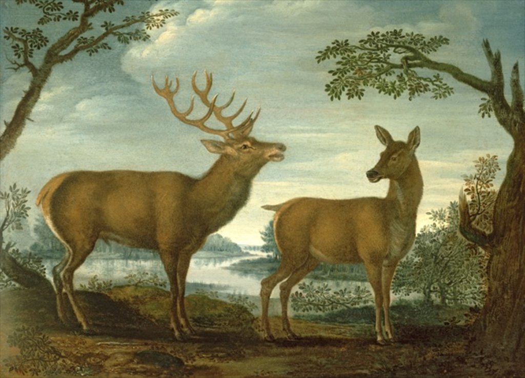 Detail of Stag and hind in a wooded landscape by German School