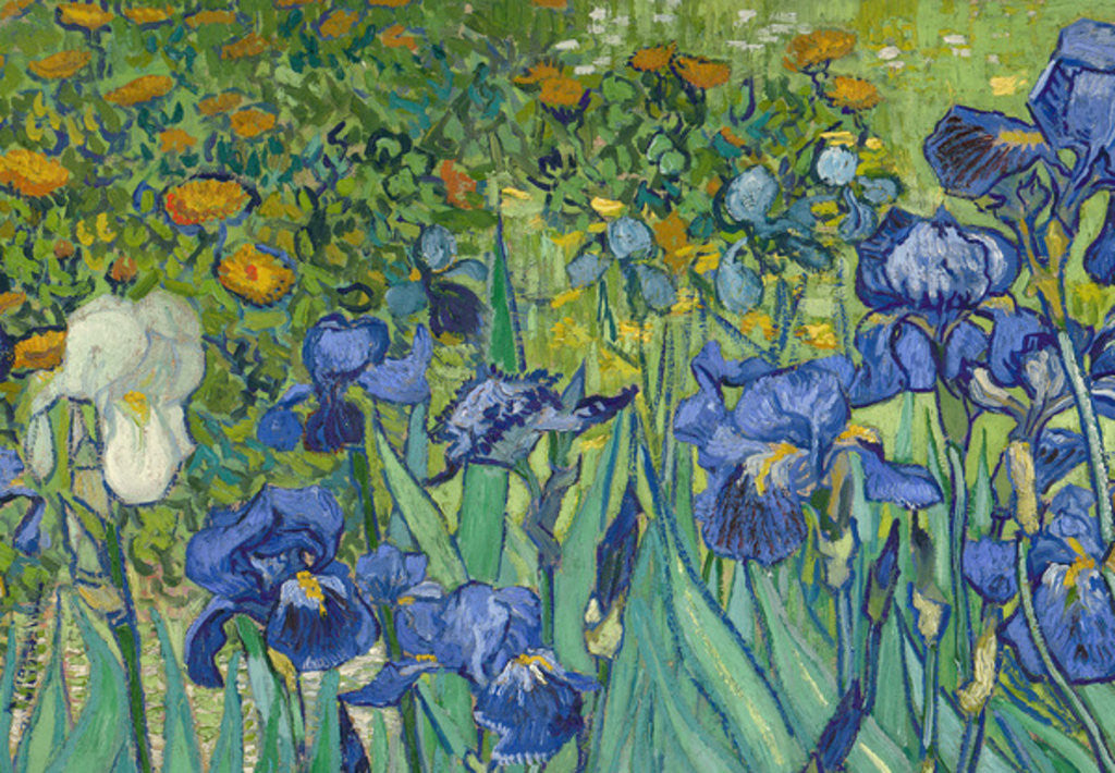 Detail of Irises by Vincent van Gogh