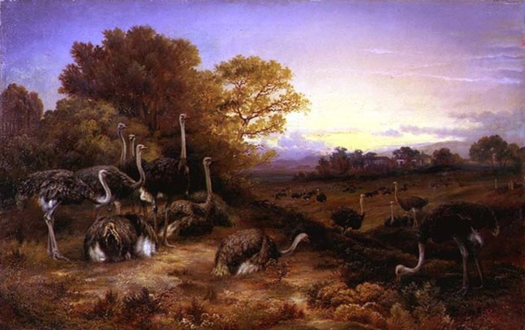 Detail of Ostriches, 19th century by Anonymous Anonymous