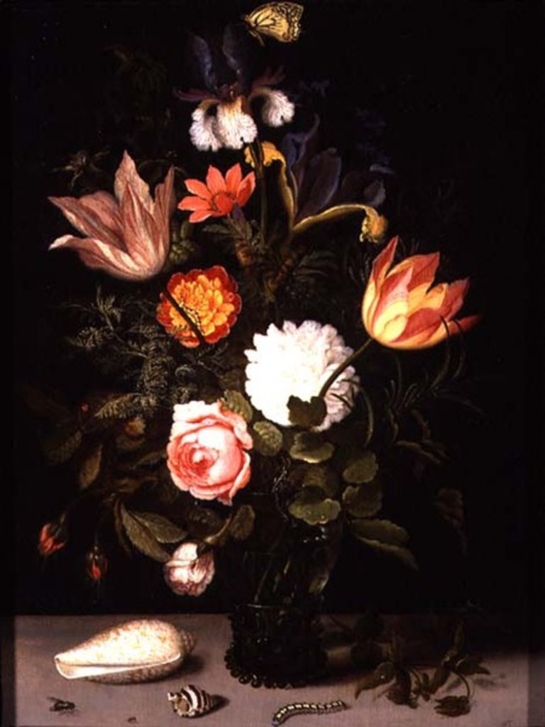 Detail of Still Life of Flowers in a Roemer with Two Shells by Balthasar van der Ast