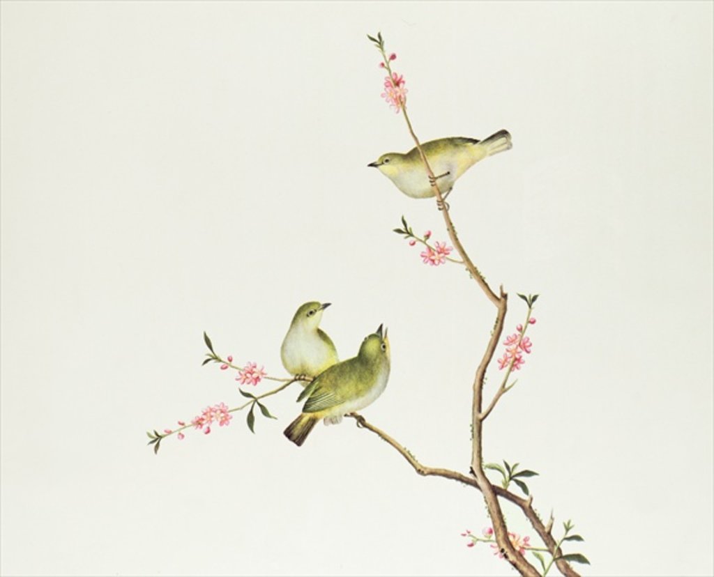 Detail of White-Eye bird, Ch'ien-lung period by Qing Dynasty Chinese School