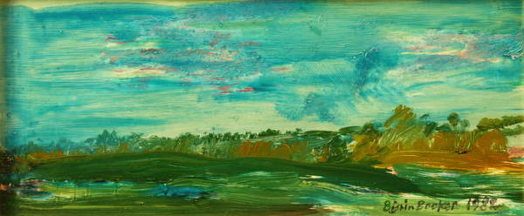 Detail of Fresh morning, Suffolk, 1982 by Brenda Brin Booker