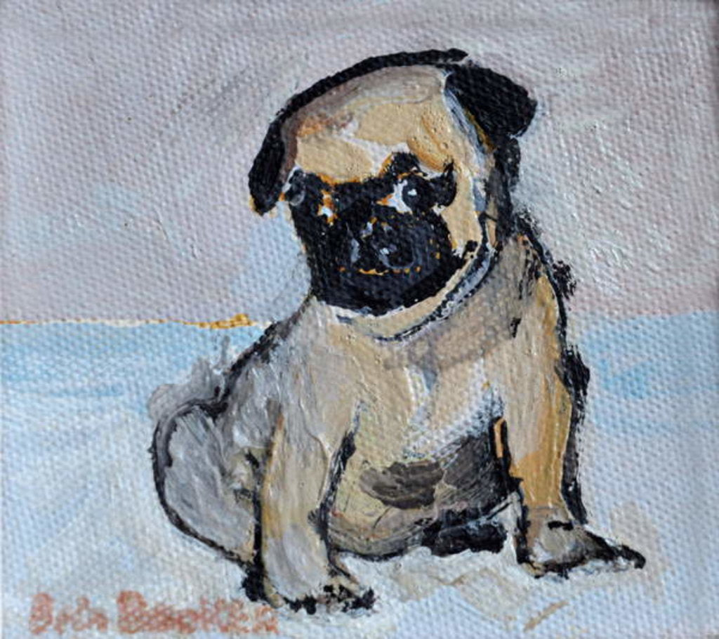 Detail of Vincent, the pug puppy by Brenda Brin Booker