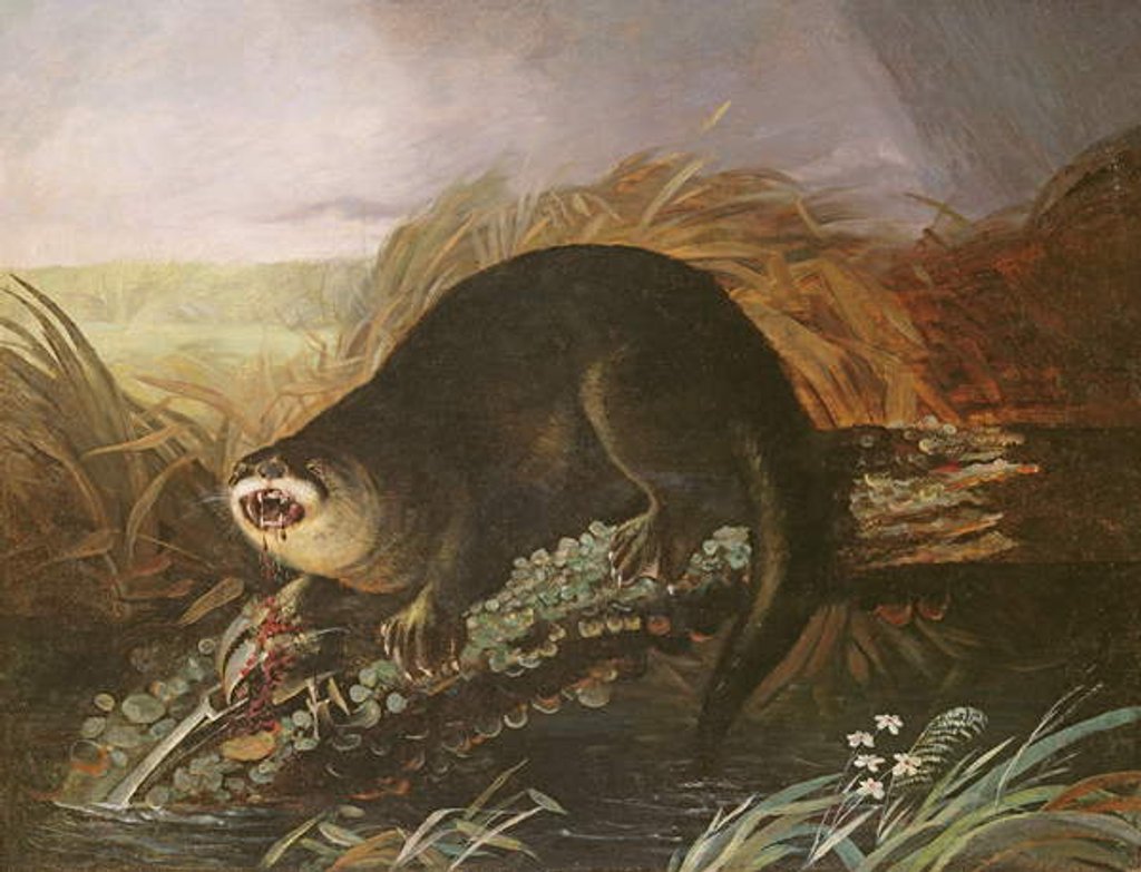 Detail of Otter Caught in a Trap by John James Audubon