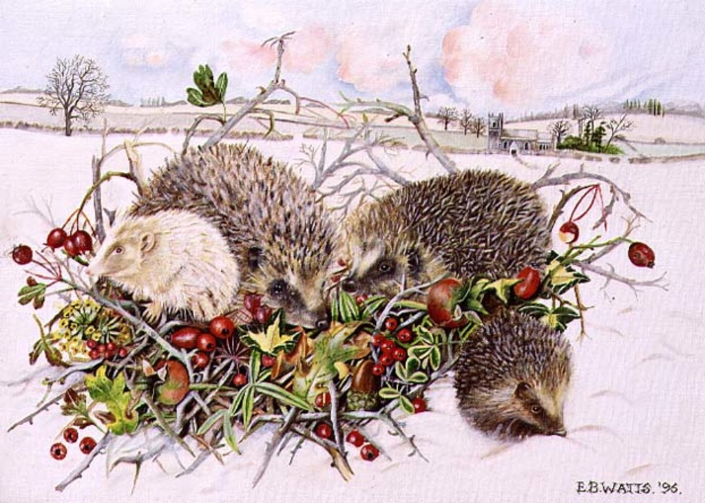 Detail of Hedgehogs in Hedgerow Basket, 1996 by E.B. Watts