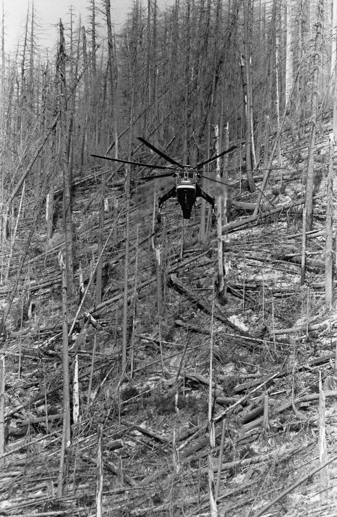 Detail of Helicopter Removing Fallen Trees by Anonymous