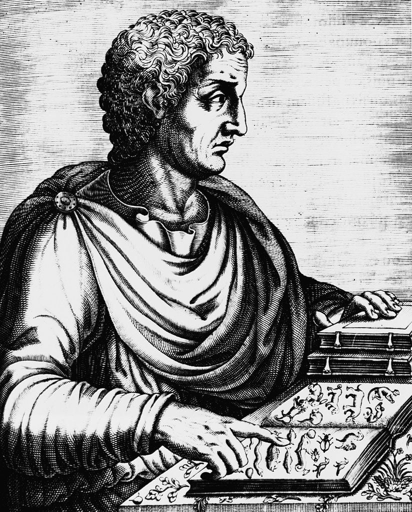 Detail of Engraving of Pliny the Elder by Anonymous
