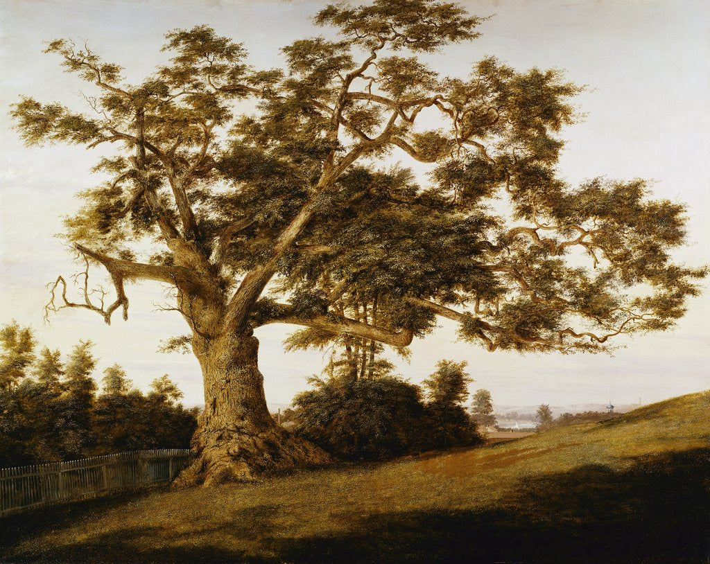 Detail of The Charter Oak by Charles de Wolfe Brownell