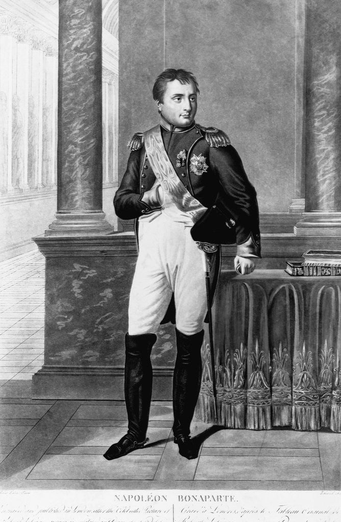 Detail of Full-Length Portrait of Napoleon Bonaparte by Anonymous