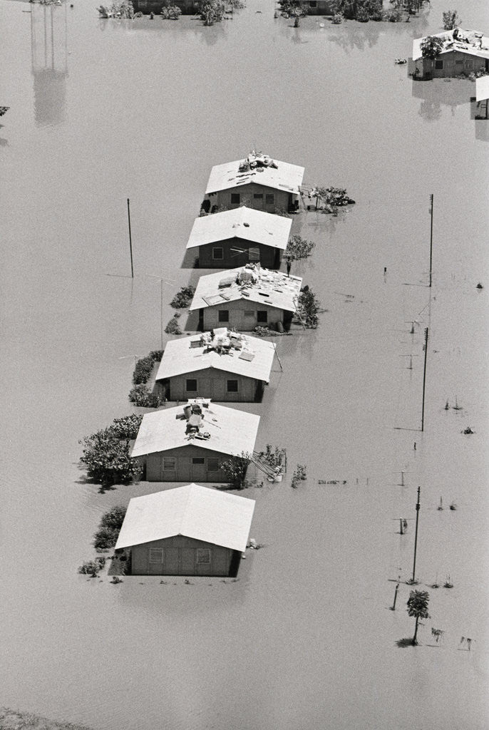 Detail of Row Of Houses Sits Flooded By Hurricane by Anonymous