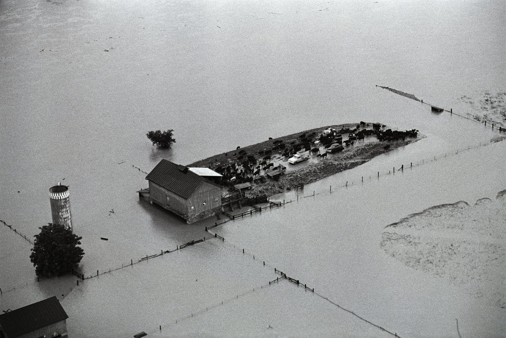 Detail of Farm Surrounded by Flood Water