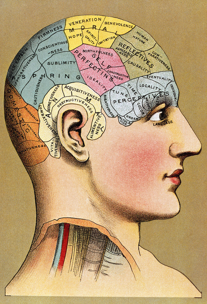 Detail of Color Lithograph of Phrenology Head with Human Capacities by Anonymous