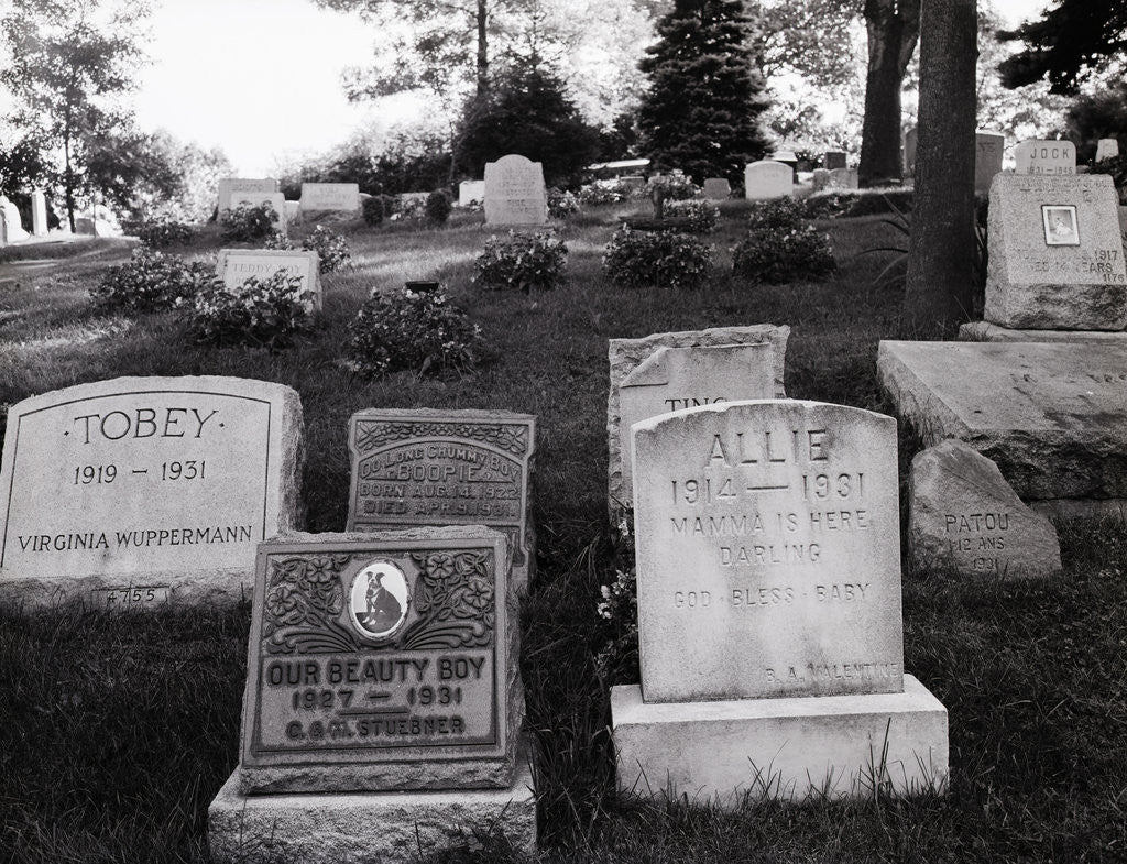 Detail of Hartsdale Canine Cemetery by Corbis