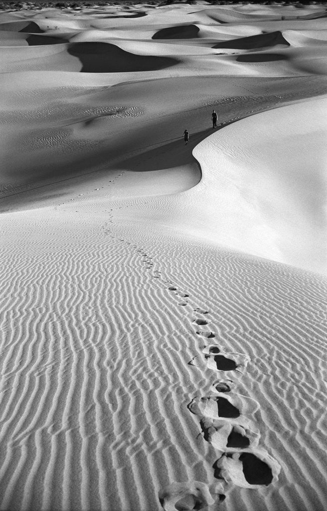 Detail of Footprints on Desert Dunes by Anonymous