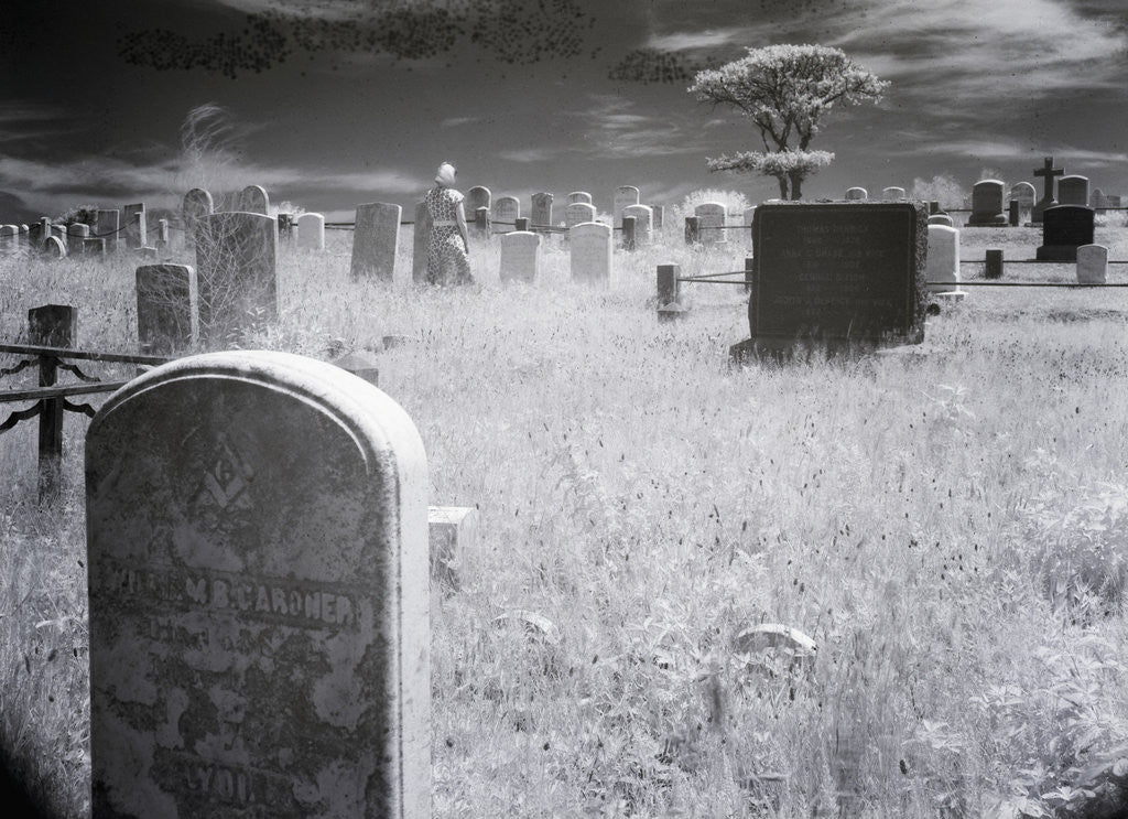 Detail of Overgrown Cemetery by Anonymous