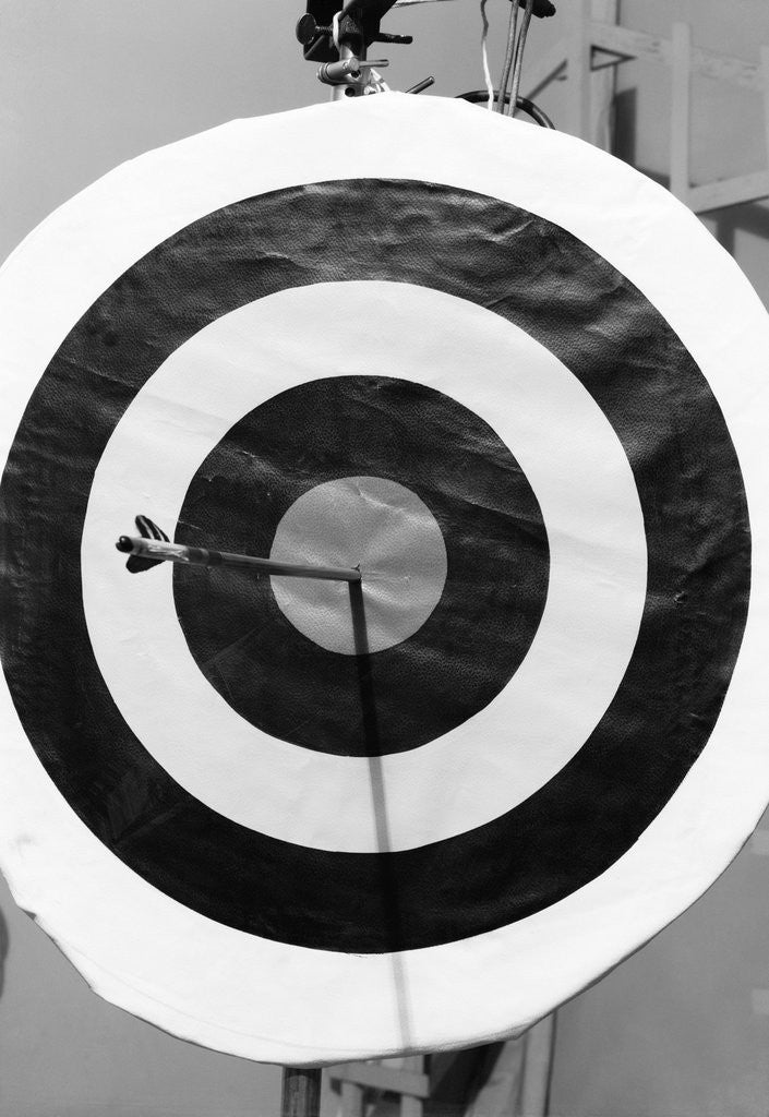 Detail of Archery Target With Arrow in the Bull's Eye by Anonymous