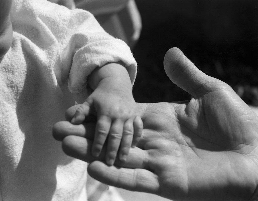 Detail of Infant's Hand in Man's Hand by Anonymous