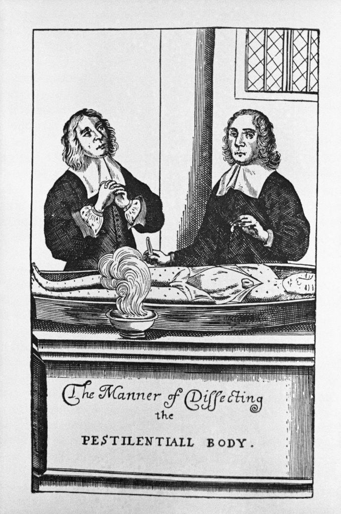 Detail of The Manner of Dissecting the Pestilentiall Body Illustration by Anonymous