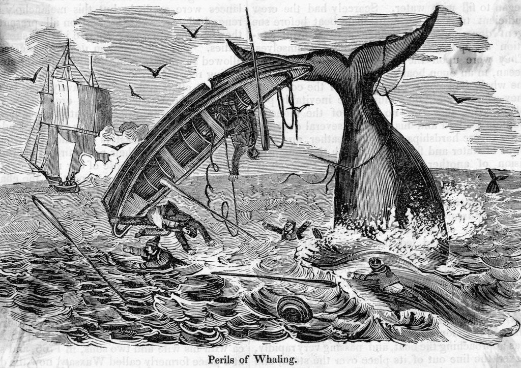 Detail of The Perils Of Whaling Boat Overturned by Anonymous