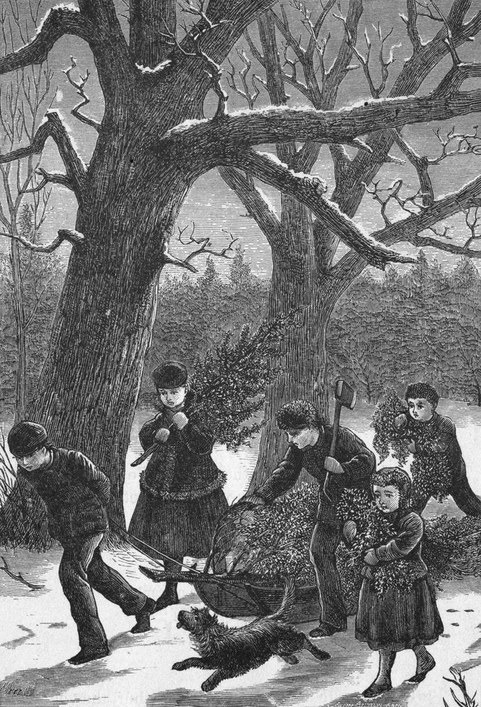 Detail of Five Children Bring Home Christmas Tree by Corbis
