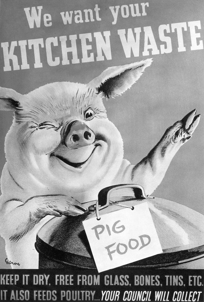 Detail of We Want Your Kitchen Waste Poster by Anonymous