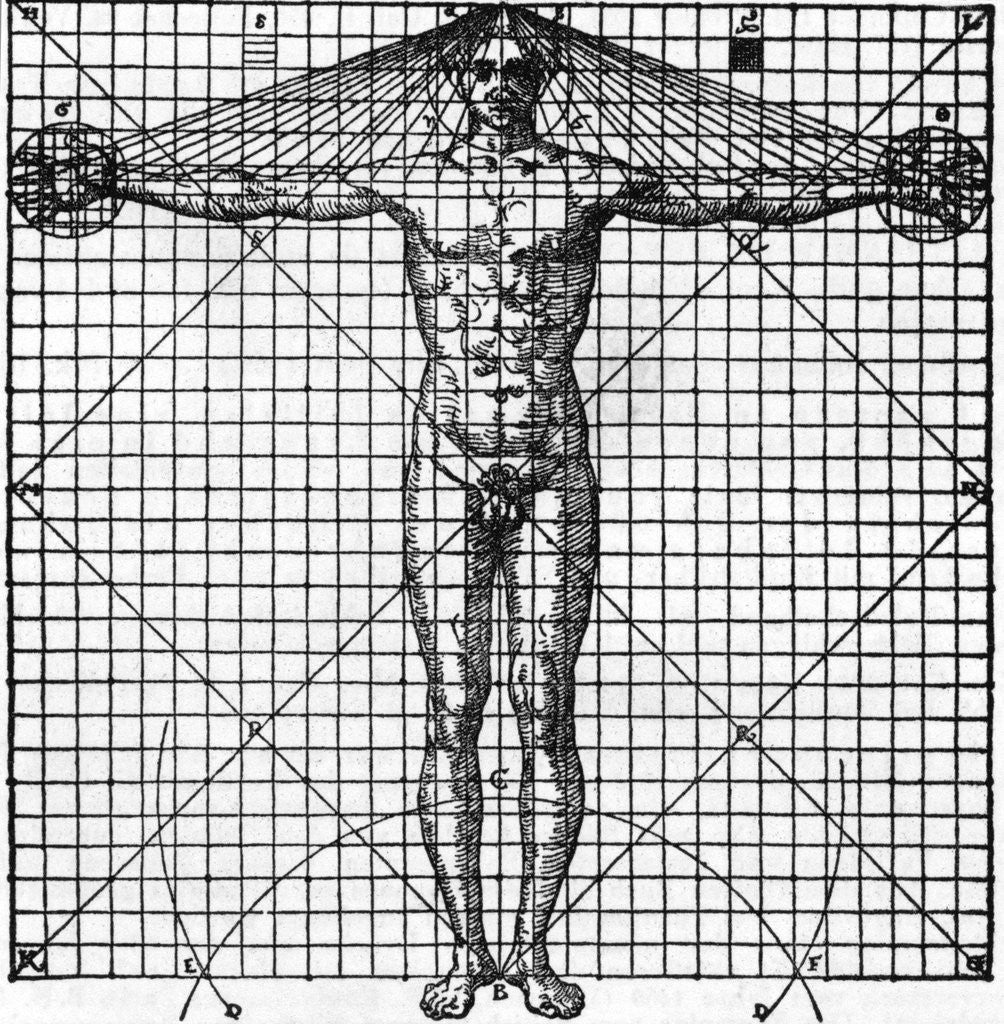 Detail of Diagram Of Man'S Proportions; On Graph by Anonymous