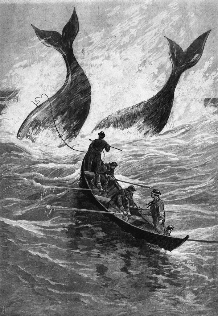 Detail of 19th-Century Woodcut of Whaling by Corbis