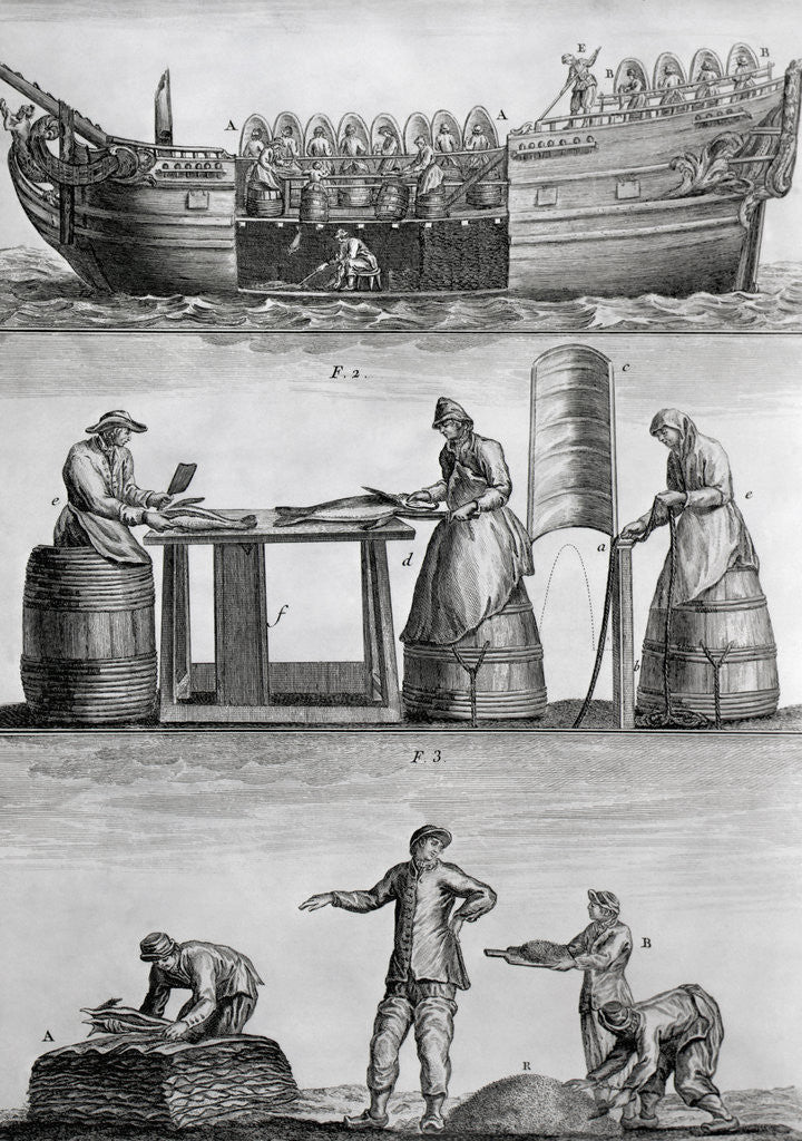 Detail of Three Panels Of Fish Industry In 1770 by Corbis