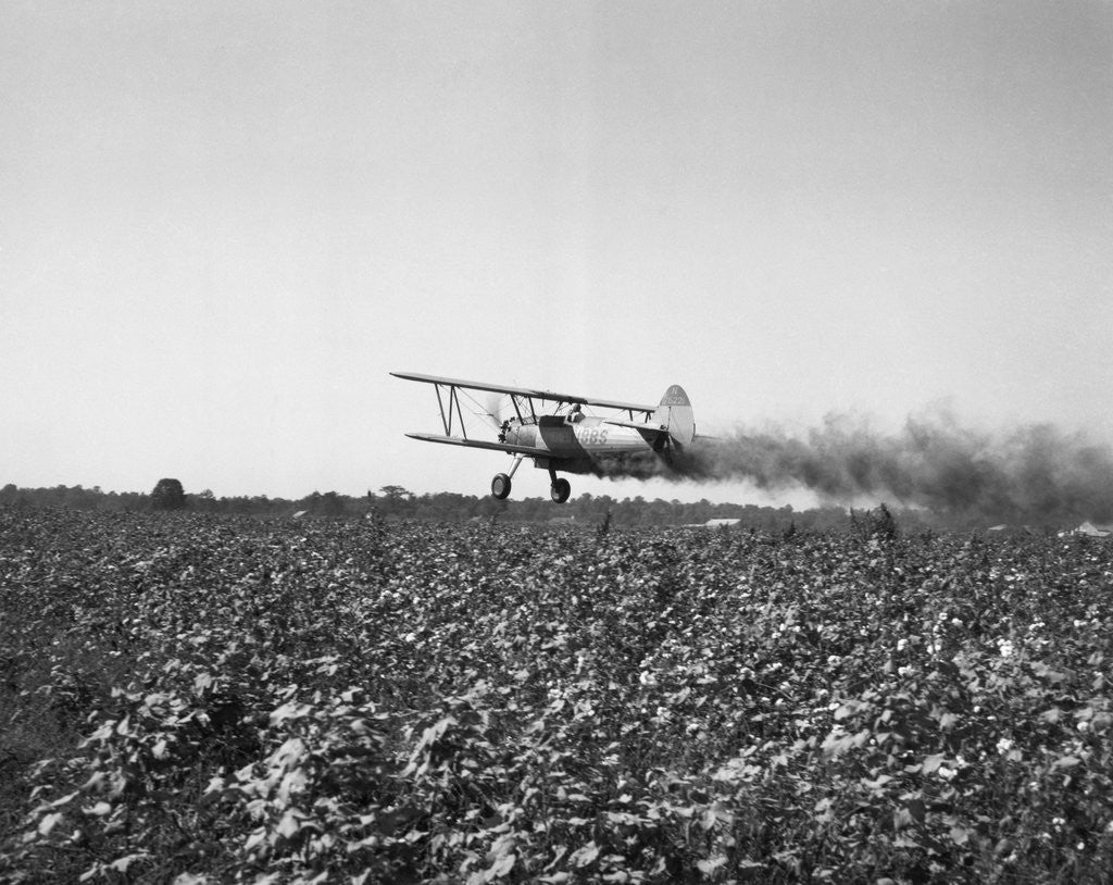 Detail of Crop Dusting Plane Flies Over Field by Anonymous