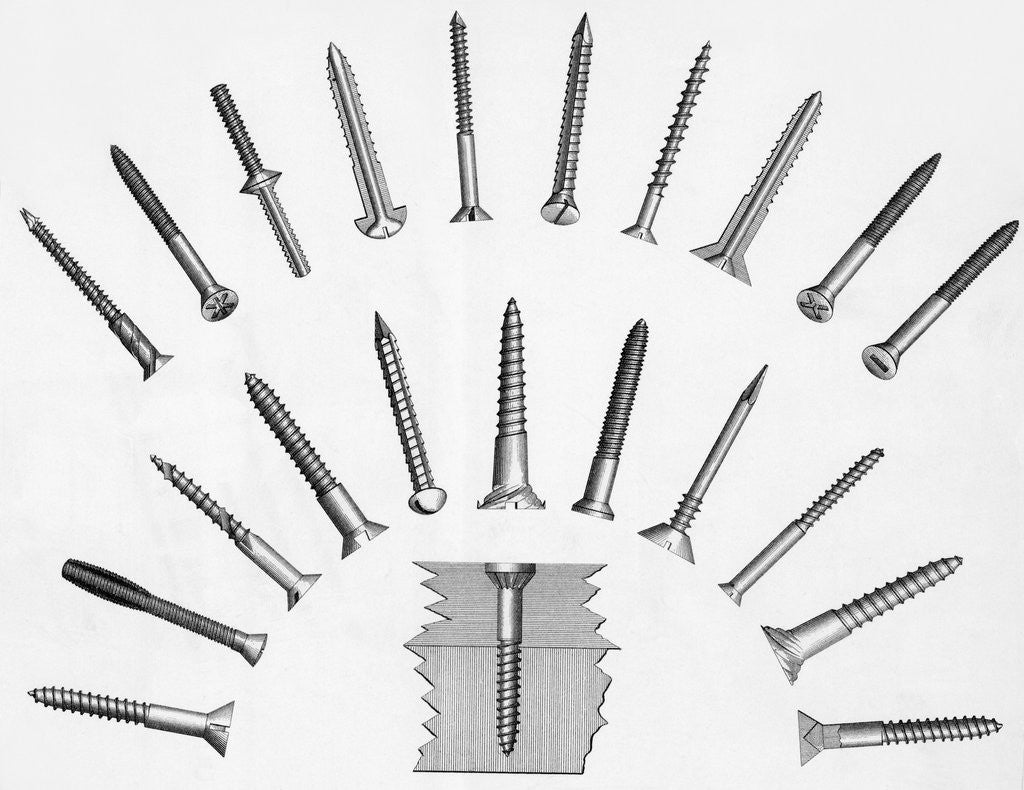 Detail of Various Screws Arranged Radially by Anonymous