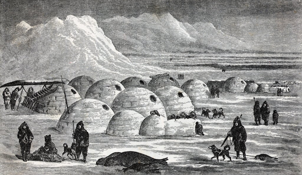 Detail of Innuit Igloos, or Snow Village Illustration by Anonymous