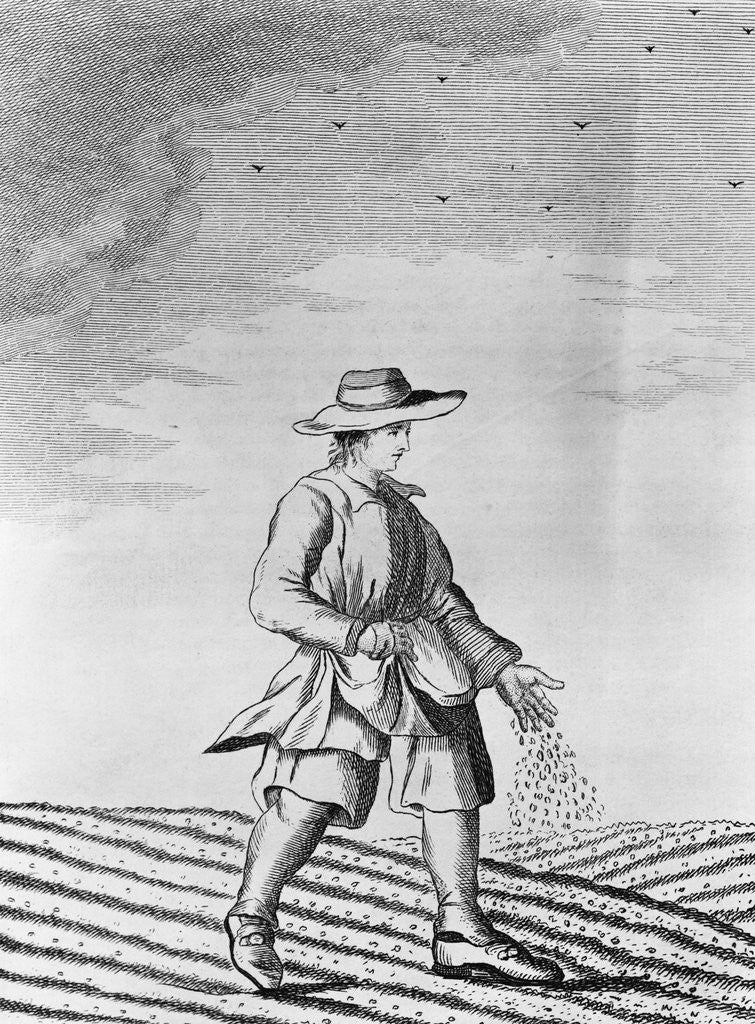 Detail of French Farmer Sowing Seeds by Anonymous