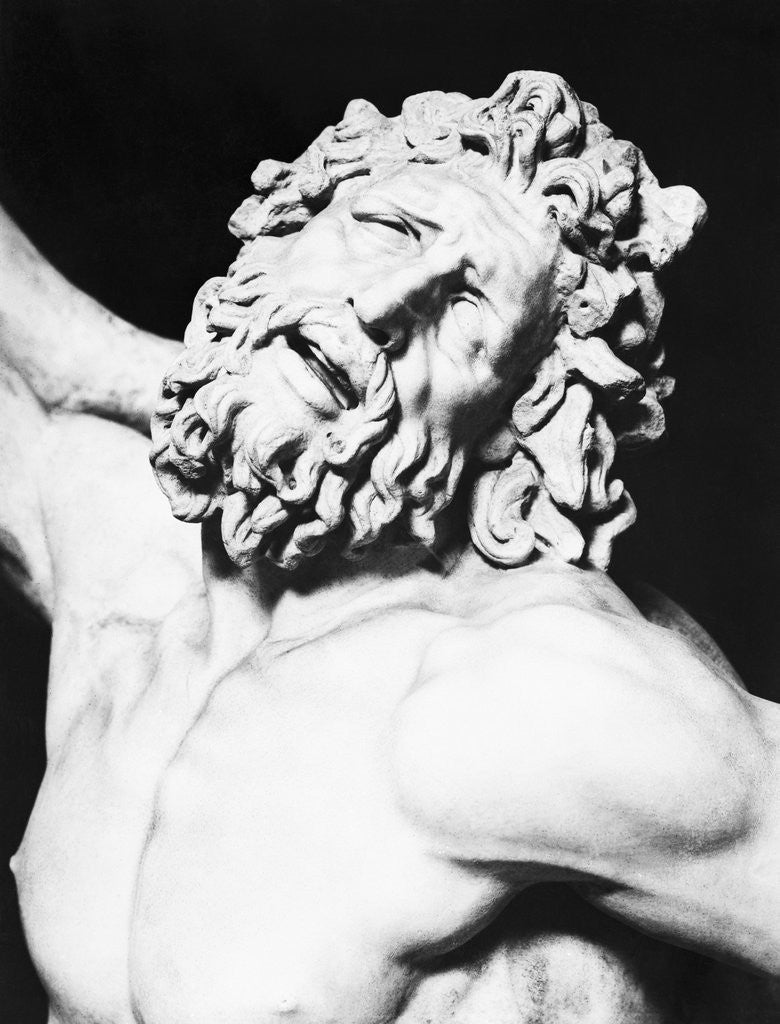 Detail of Detail of the Head of Laocoon from The Laocoon Group by Anonymous