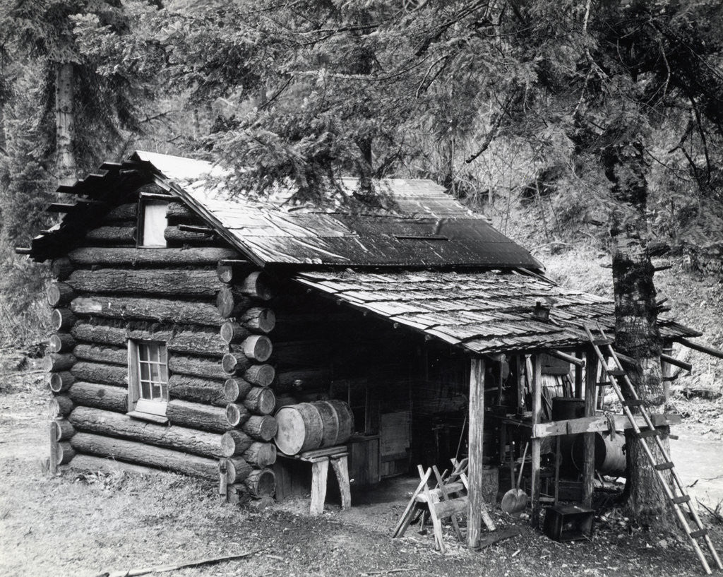 Detail of Log Cabin In Canyon Creek, Oregon by Corbis