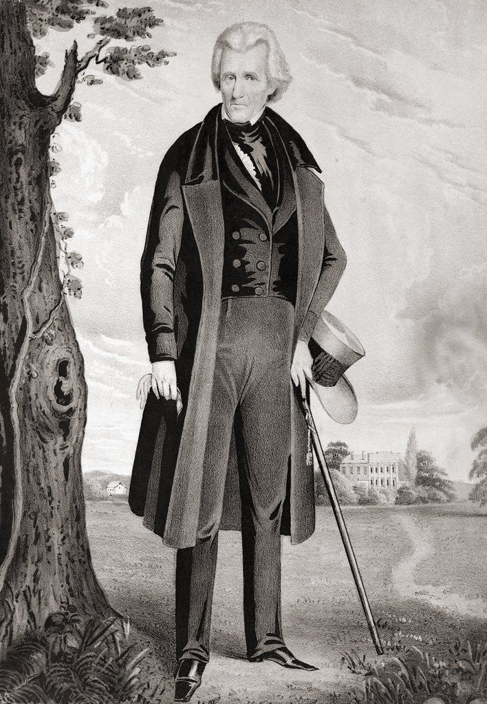Detail of Portrait of Andrew Jackson in Retirement by Anonymous