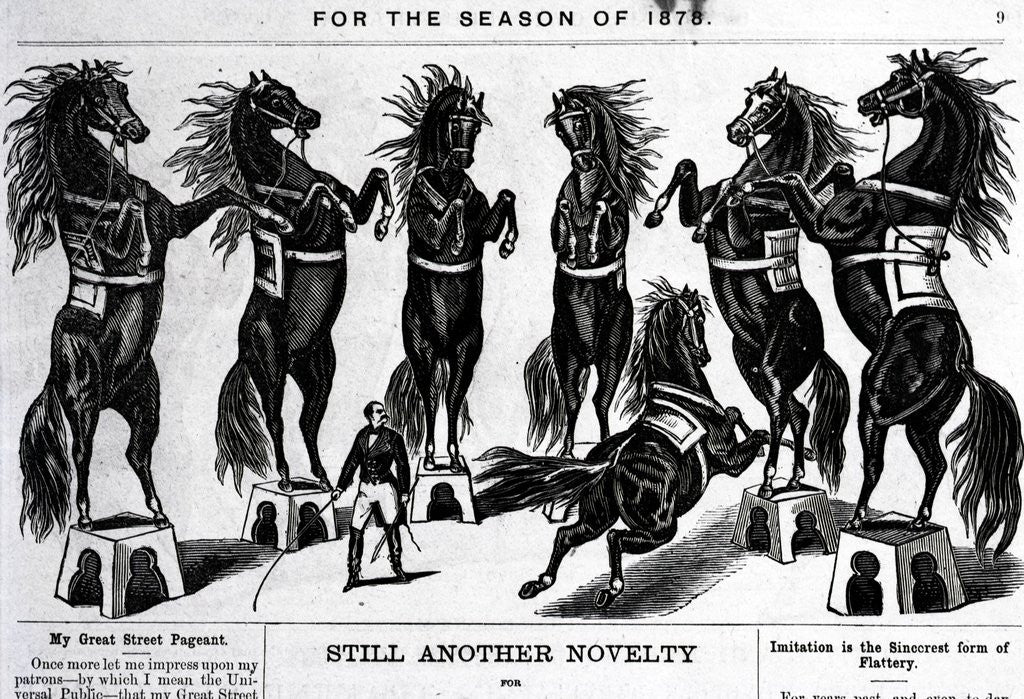 Detail of Horses Performing In Circus by Anonymous