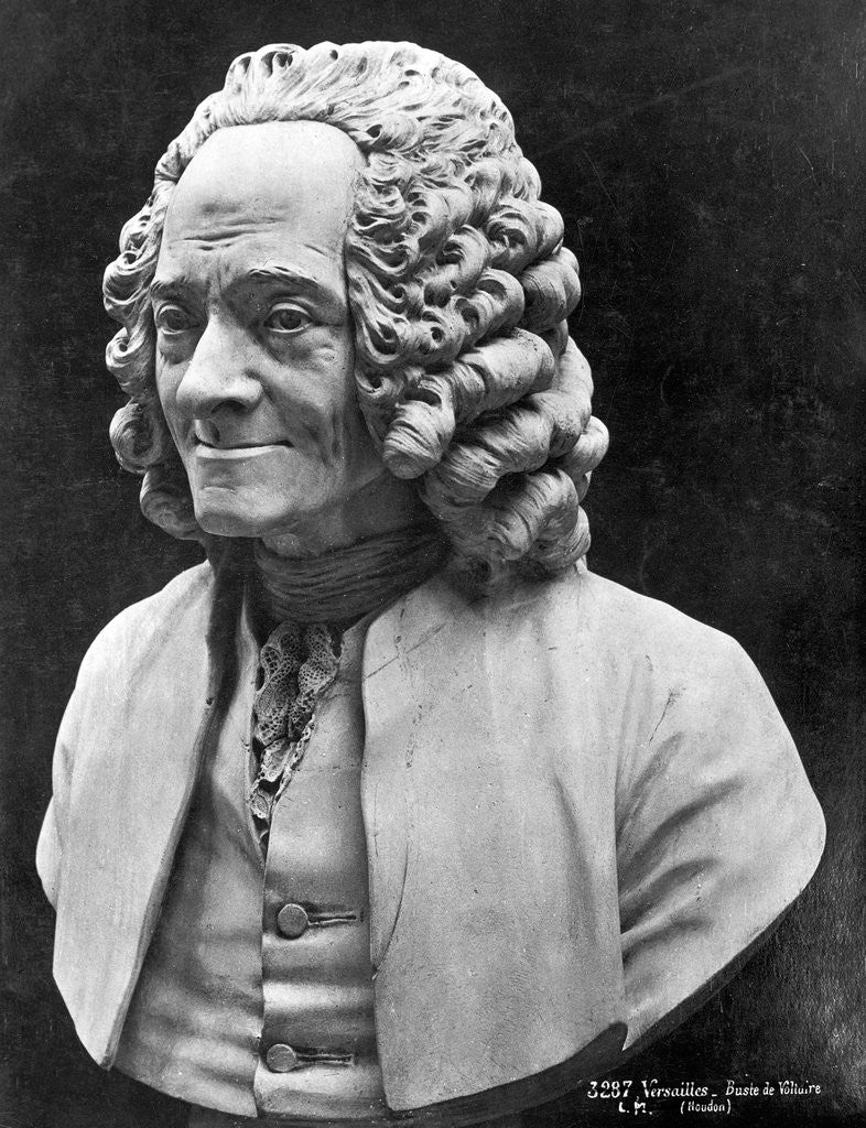 Detail of Bust Of Voltaire by Anonymous