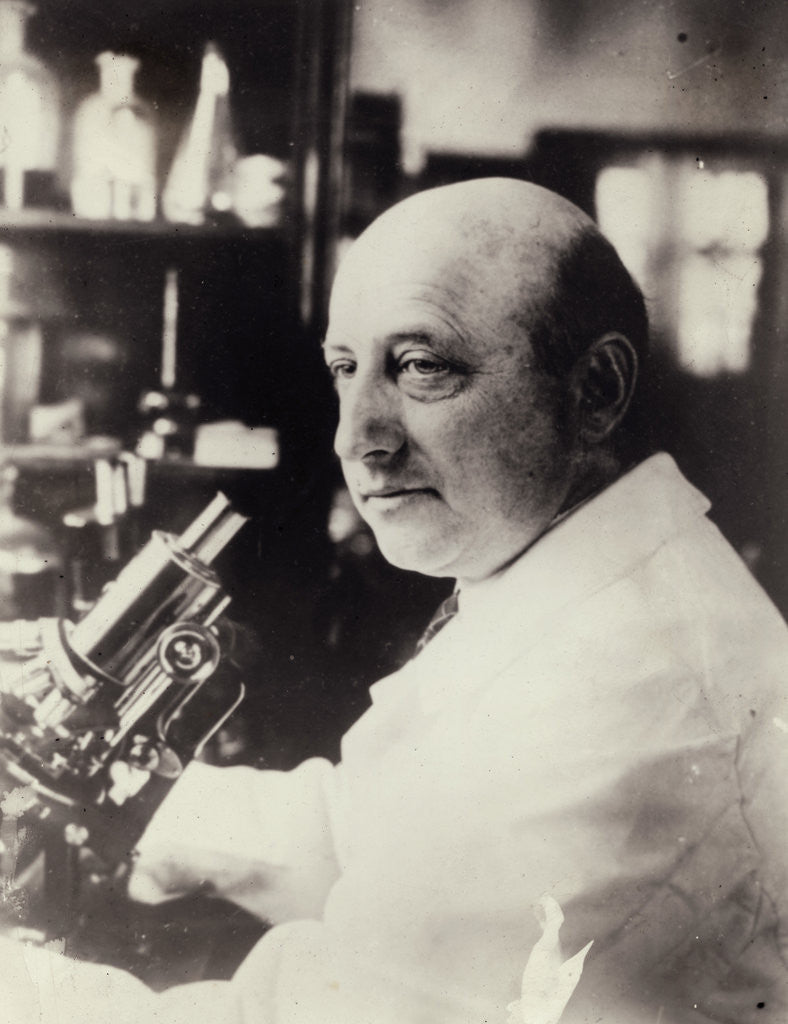 Detail of Portrait Of Dr. Richard Goldschmidt by Anonymous