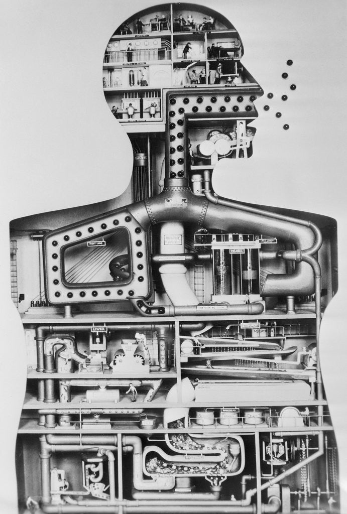 Detail of Model Of A Man As A Factory by Anonymous