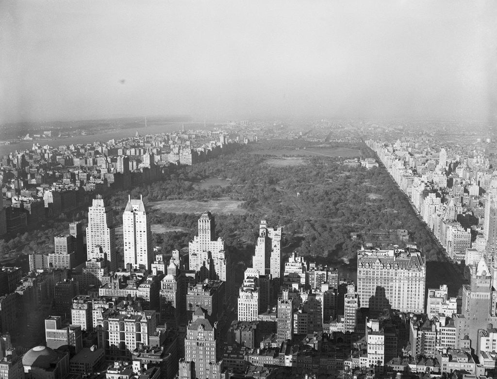 Detail of Aerial View of Central Park by Anonymous