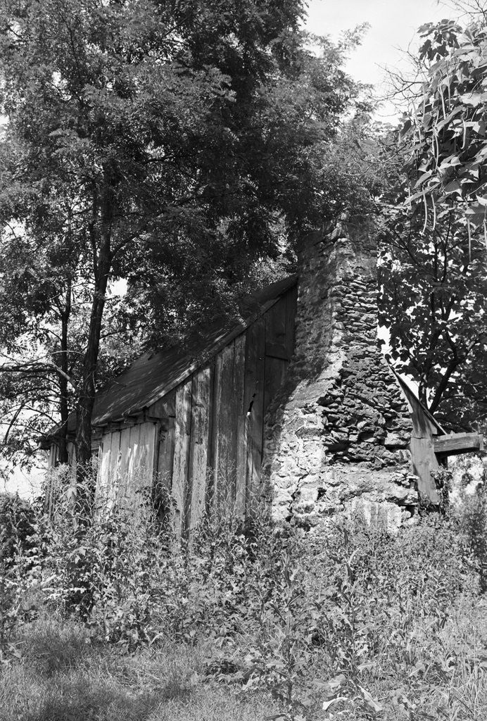 Detail of Cabin at Meriwether Lewis Birthplace by Anonymous